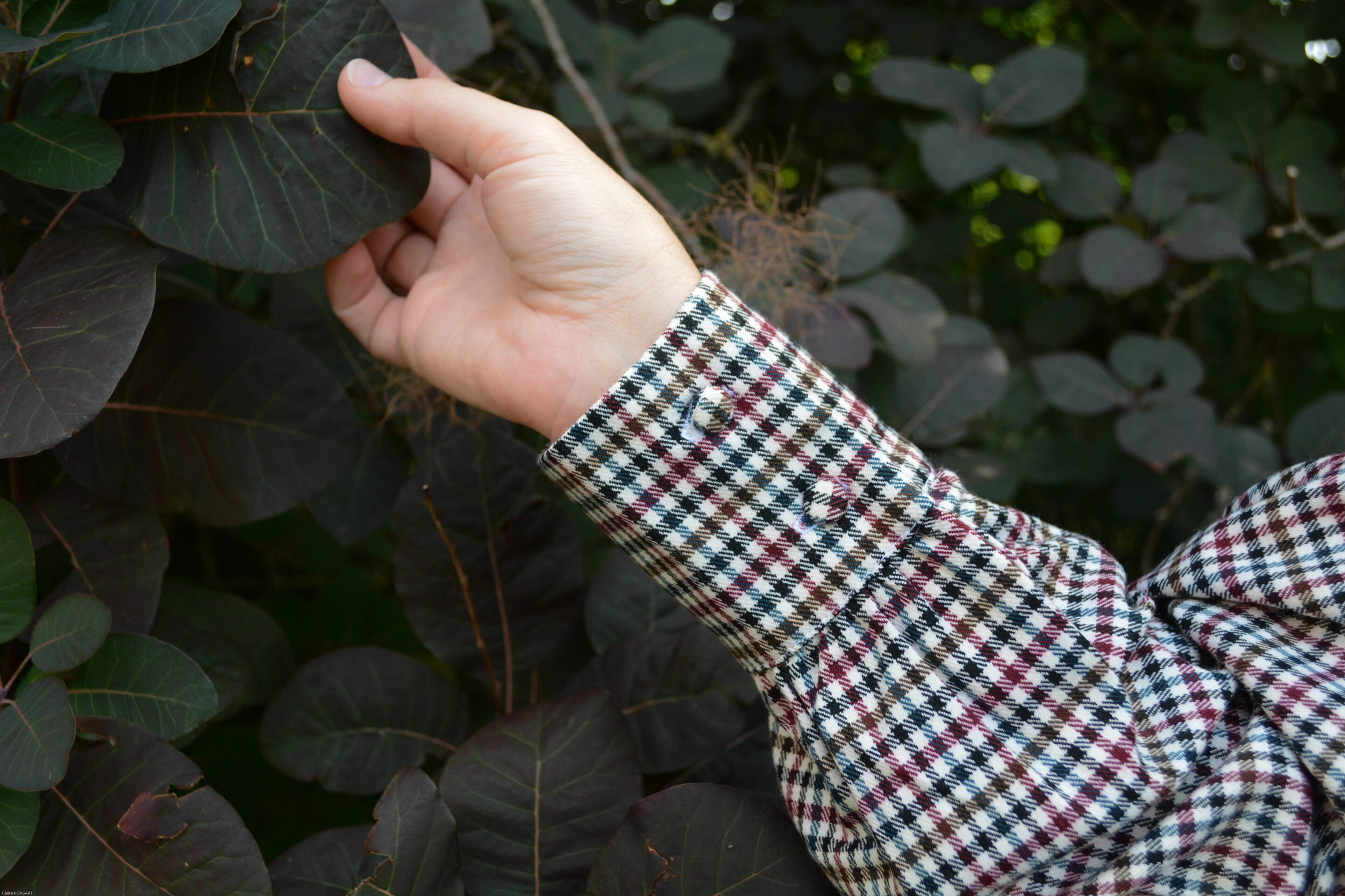 Marion tartan 3176 scaled