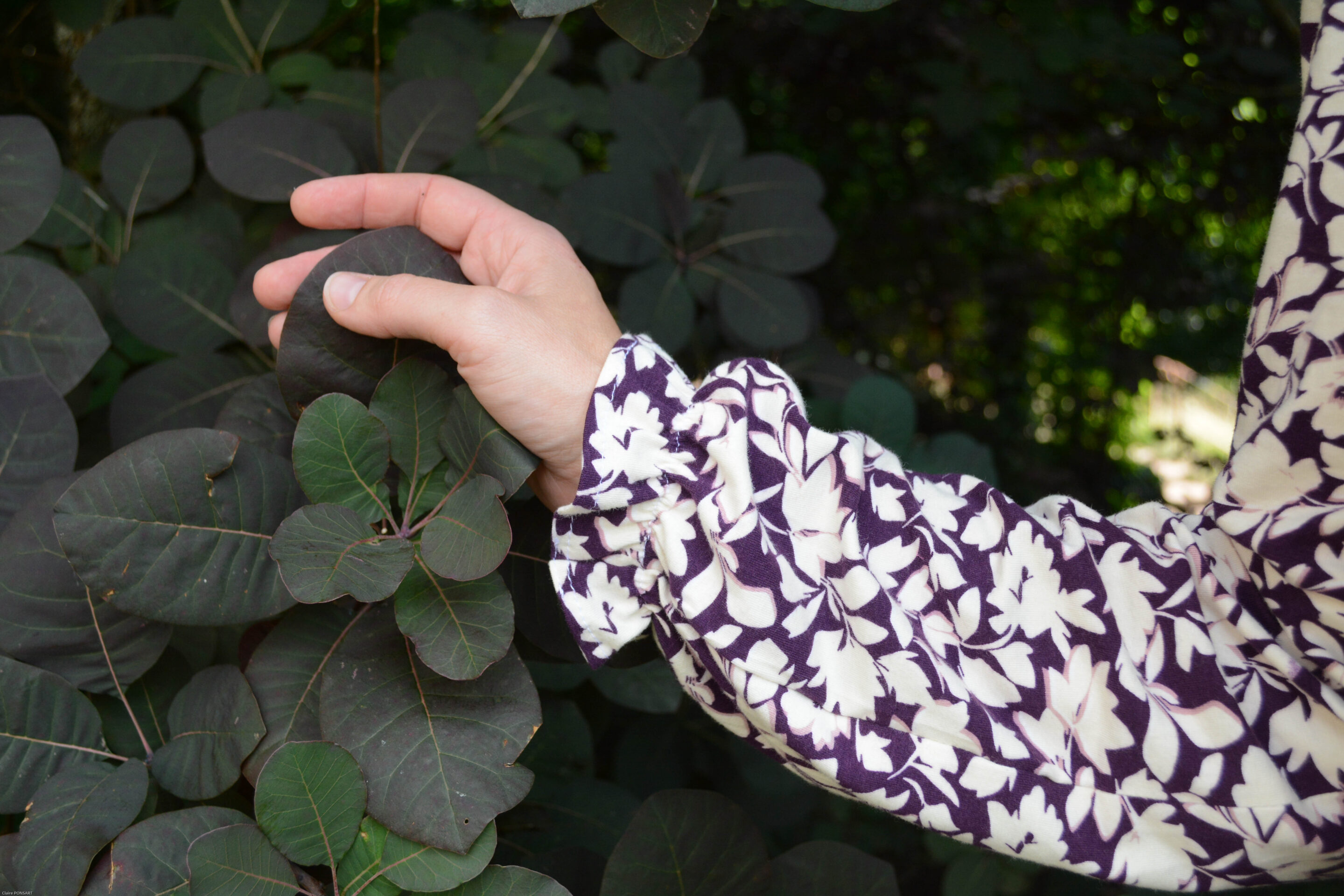 Philomene fleurs 3343 scaled