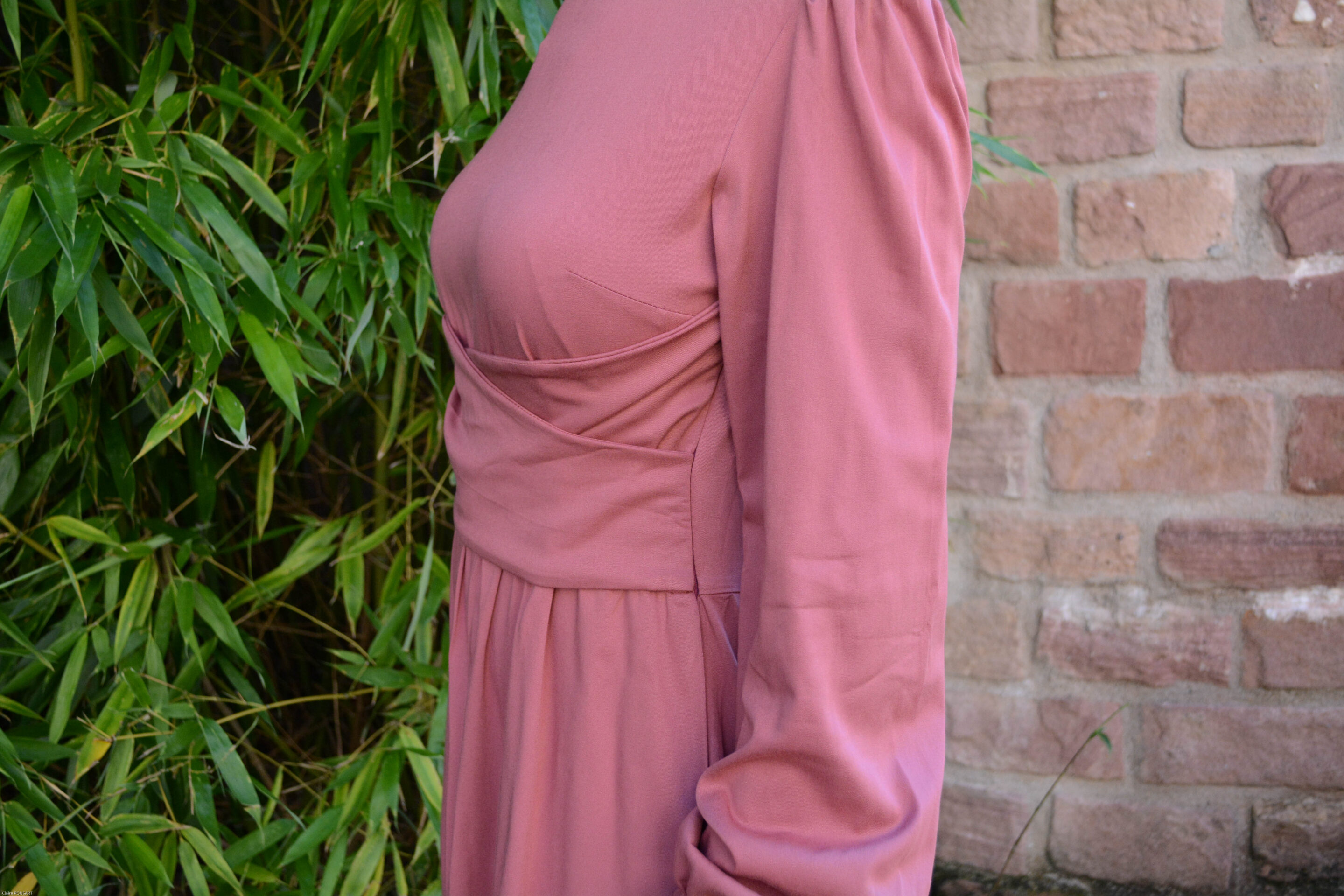 Thais rose 6936 scaled